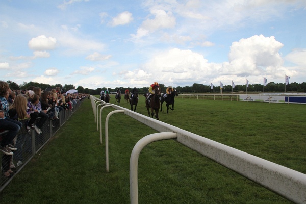 Bult VGH2011   074.jpg